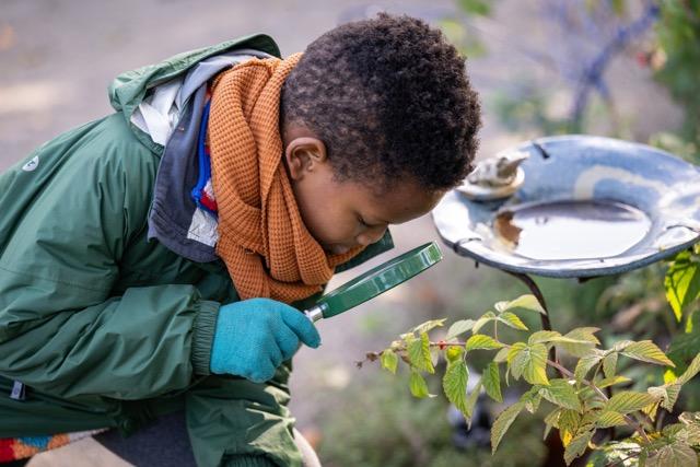A child leans over with a hand held magnifying glass looking at a plant