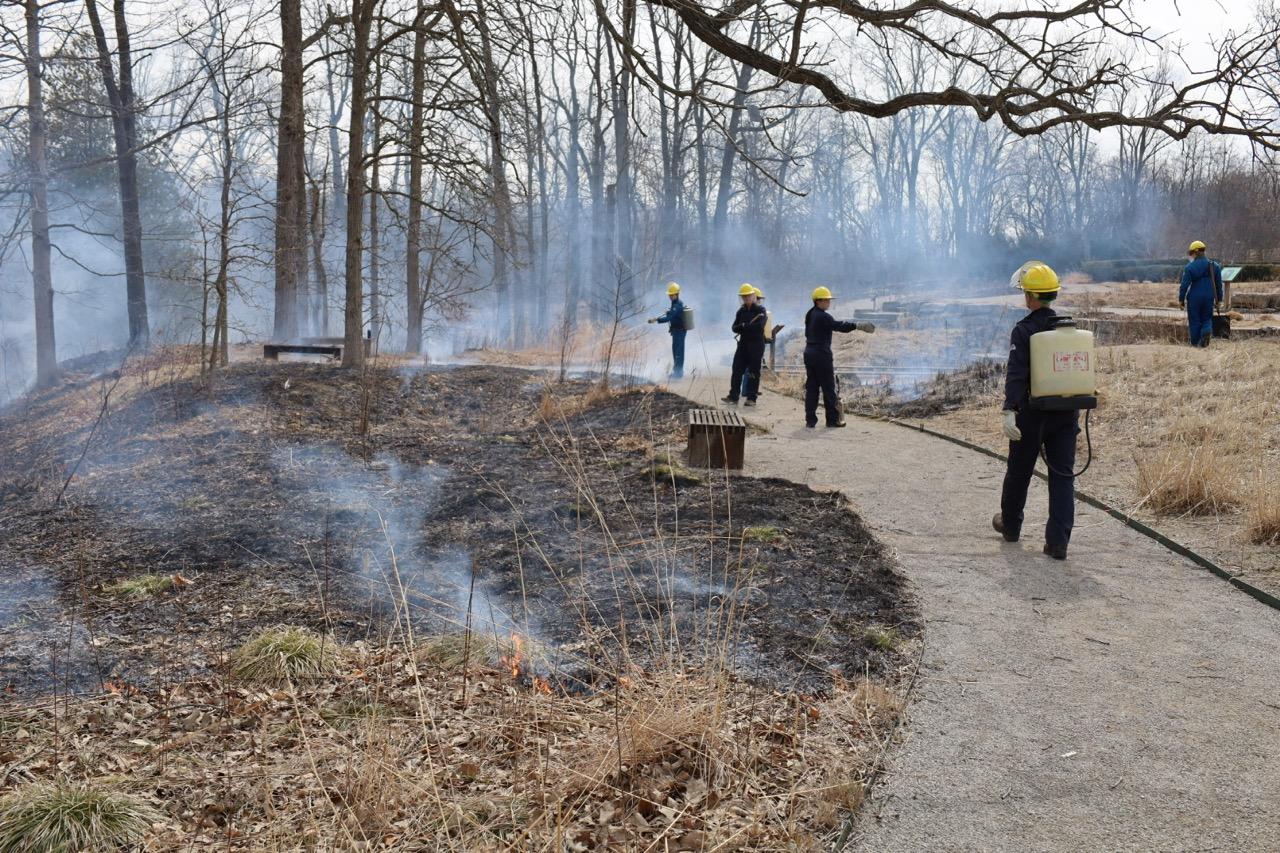 after a burn the ground smolders and looks charred