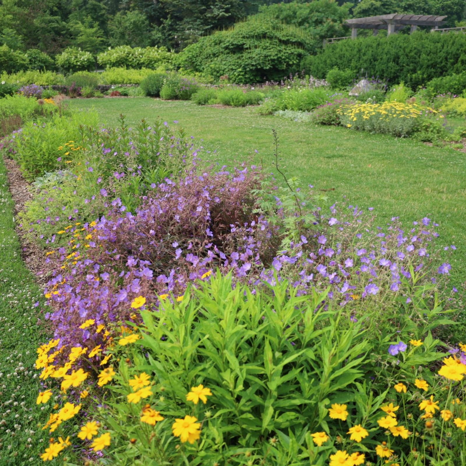 Kimberly Maged Perennial Garden | Matthaei Botanical Gardens & Nichols ...