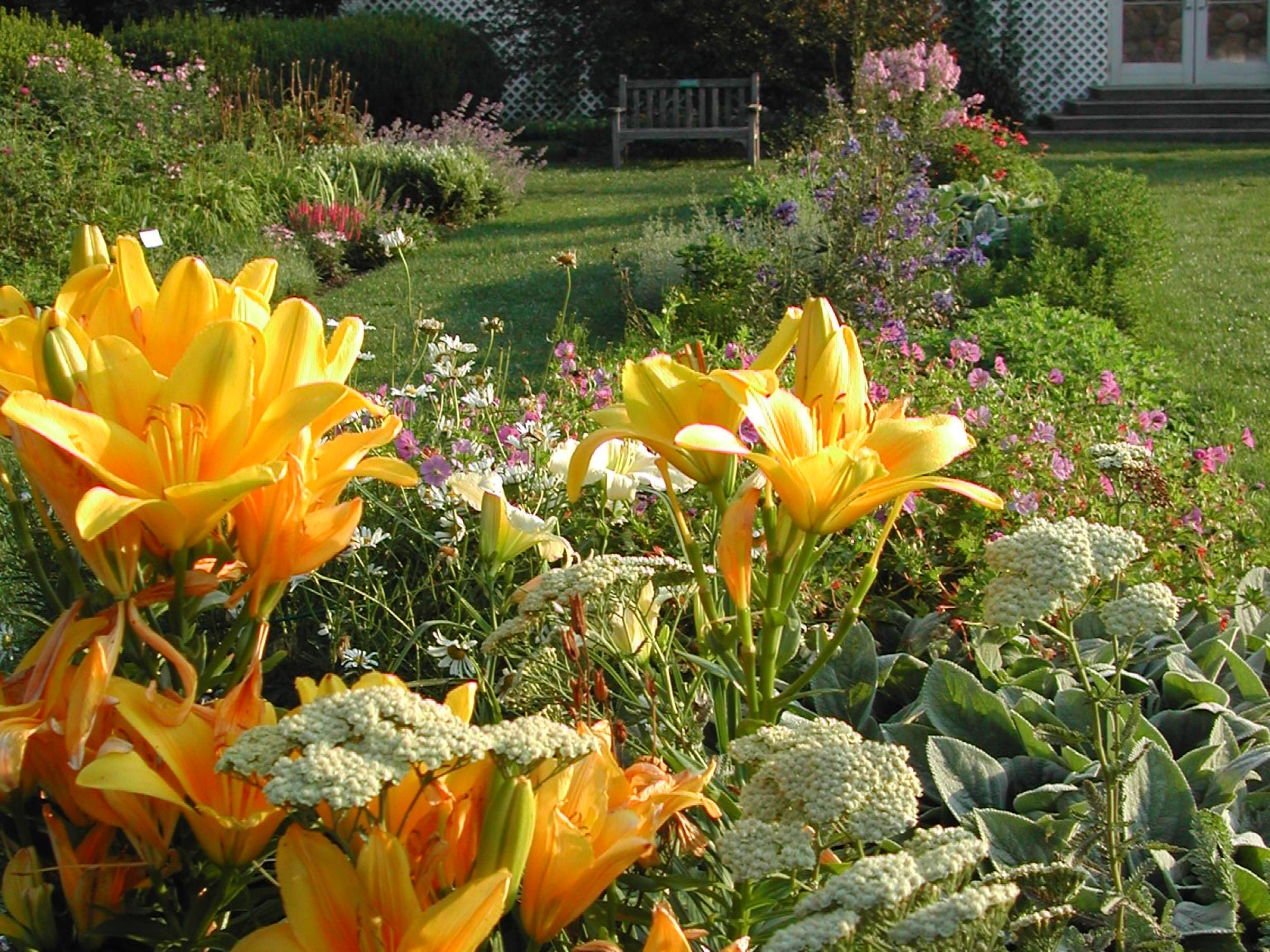 Perennial garden