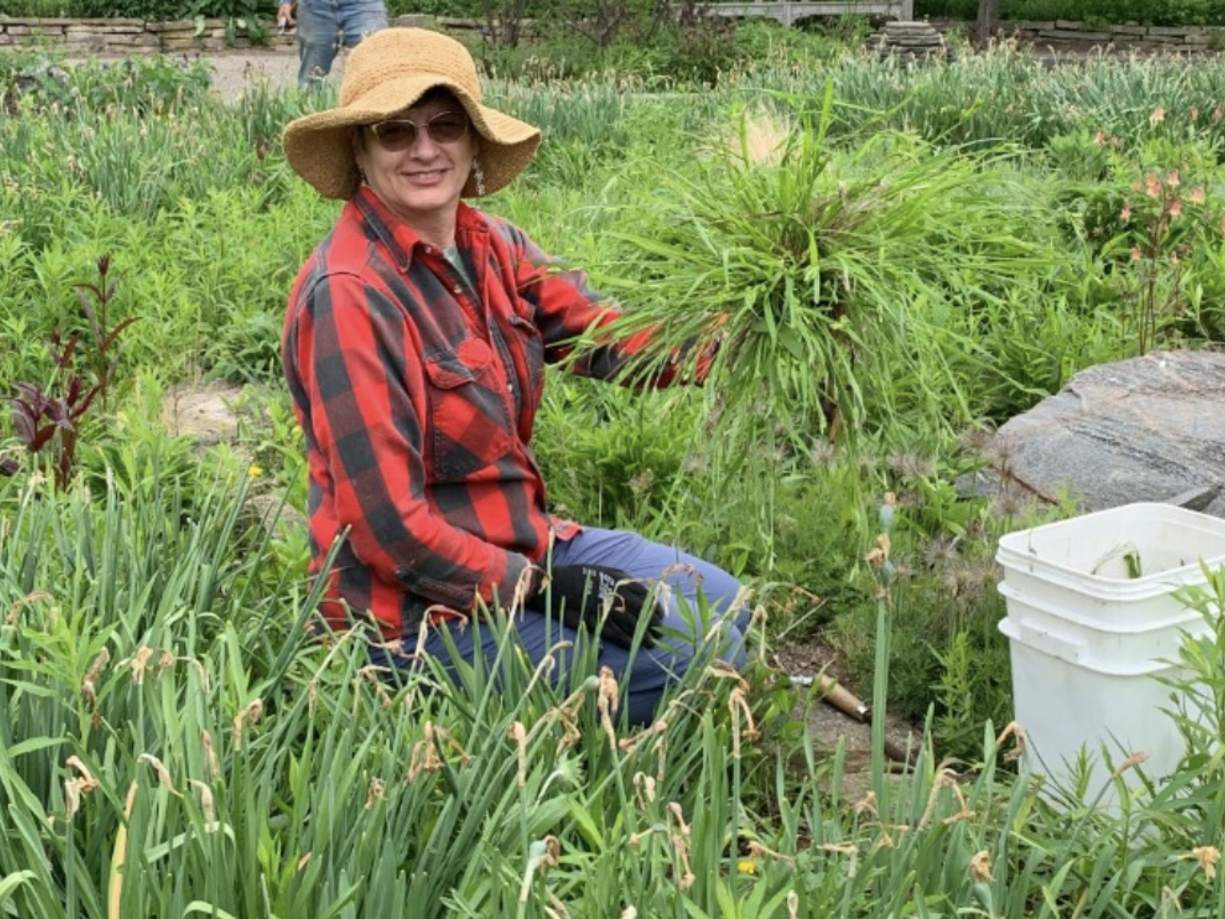 Volunteer collecting weeds in an outdoor garden