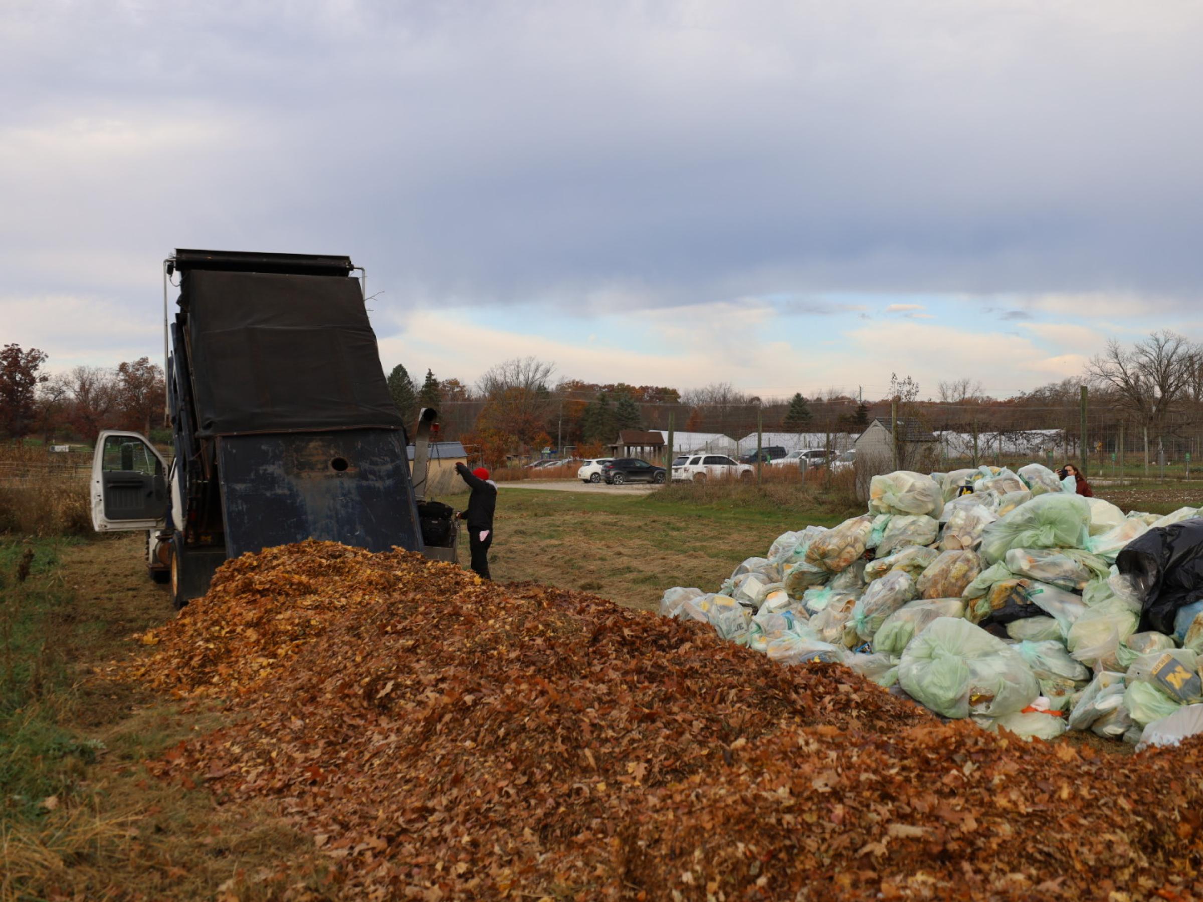 Truck filled with eaves being dumped next to bags filled with refuse from a football game