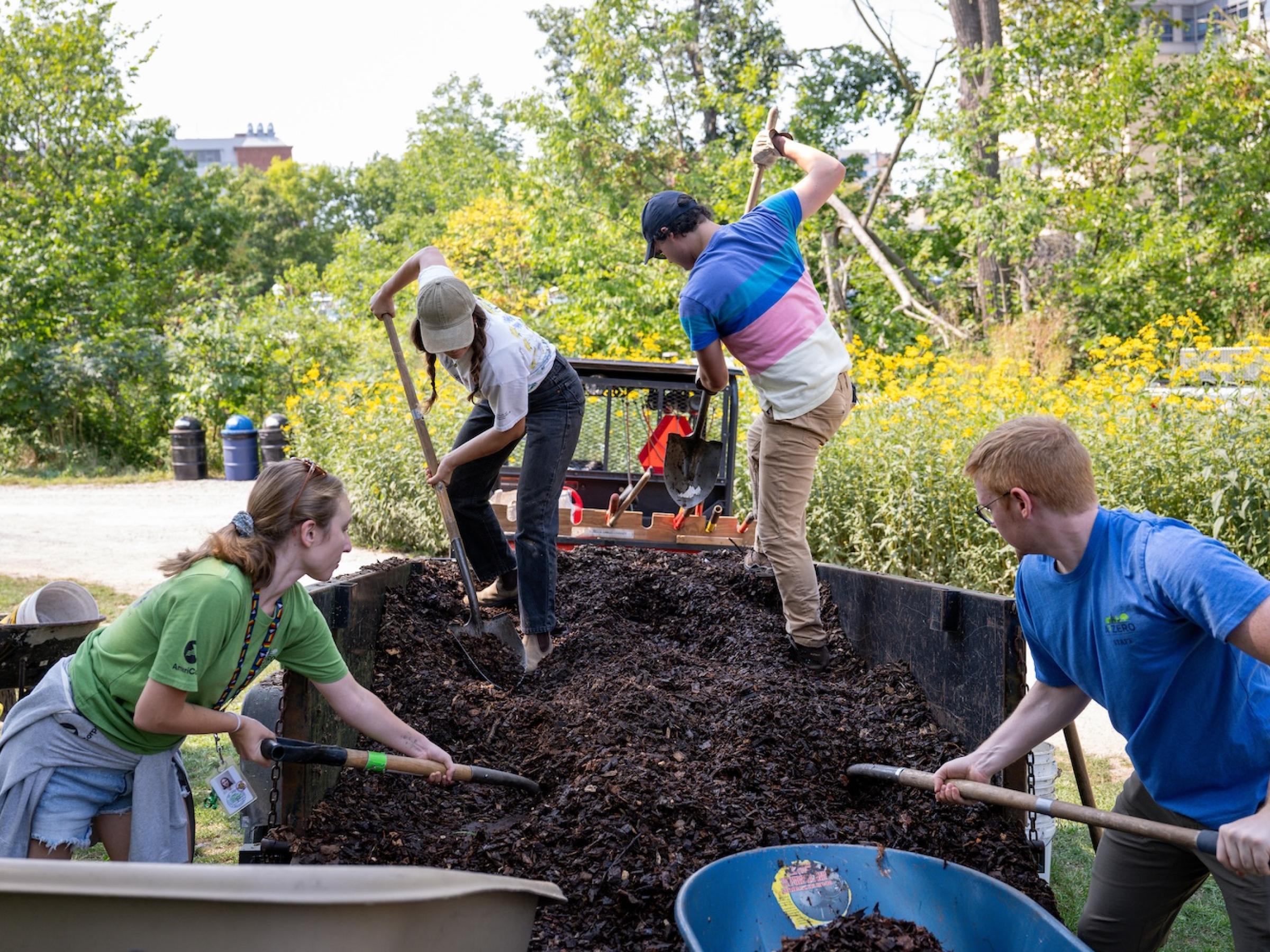 four people standing in a mulch pile shoveling it into wheelbarrows