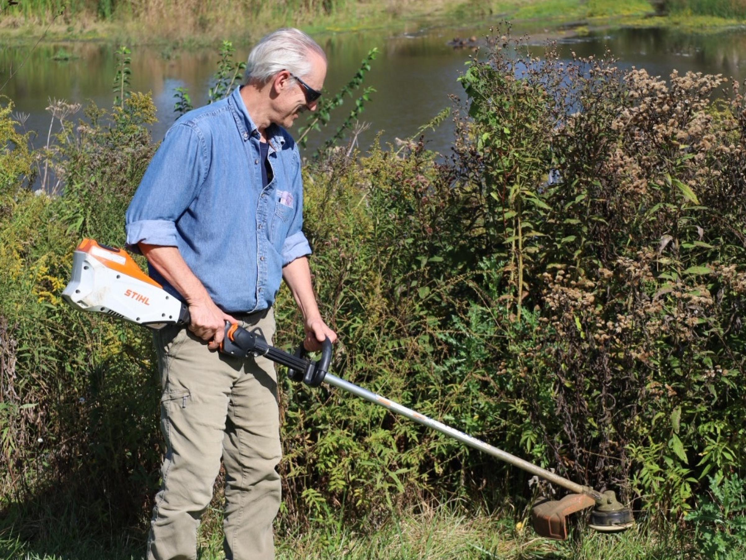 tom with electric weeder