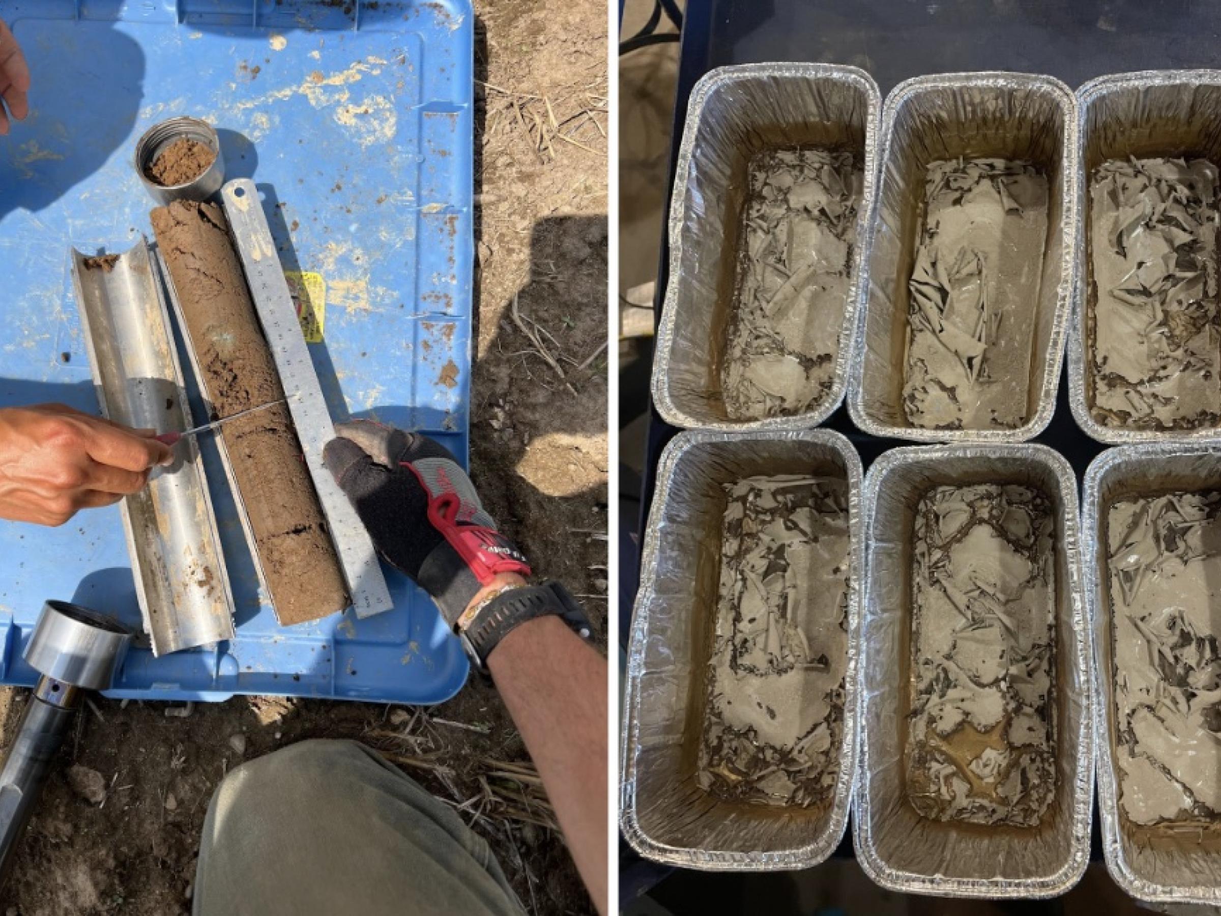 dirt samples in trays