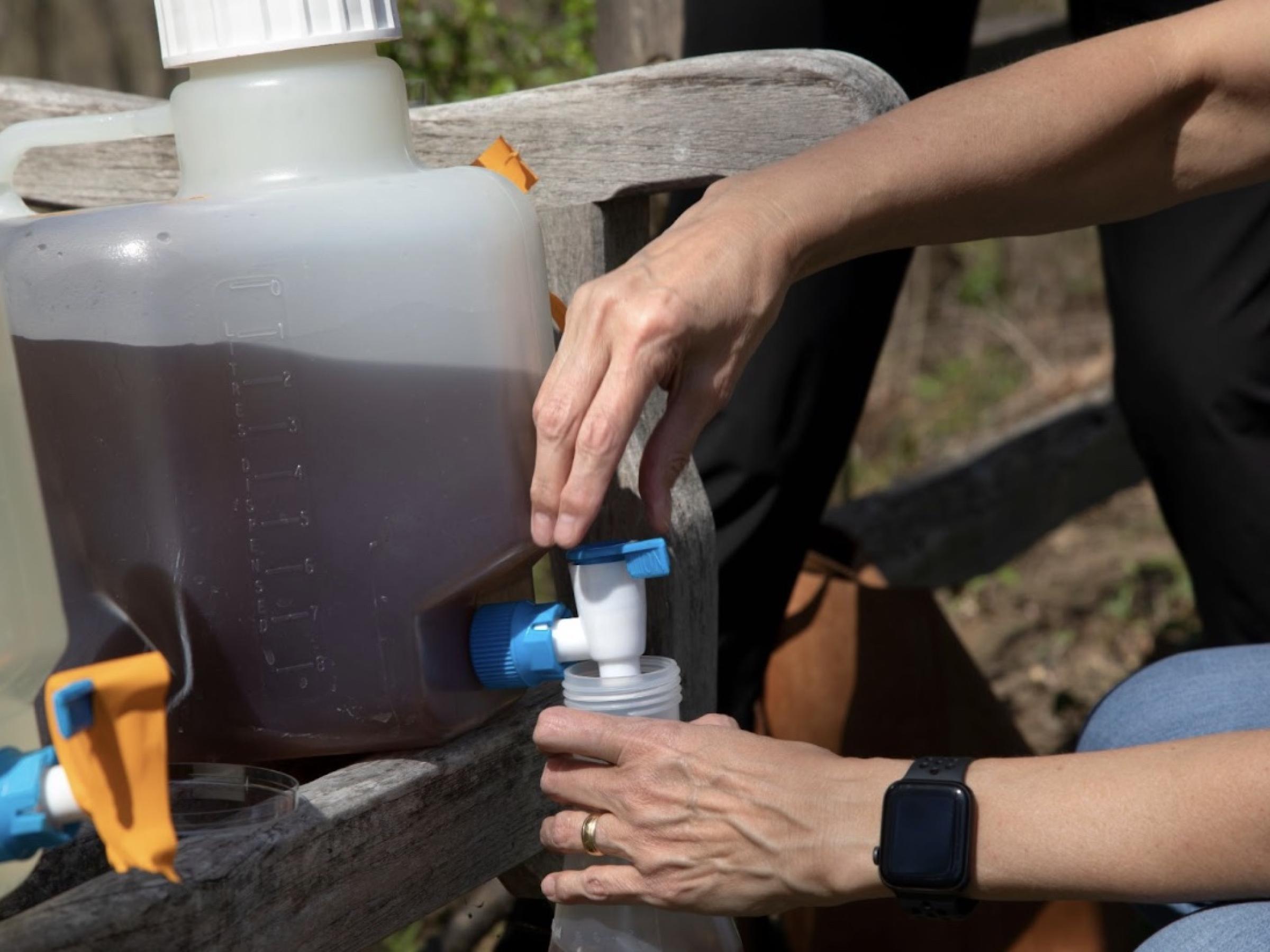 Large plastic jug of sanitized urine for study