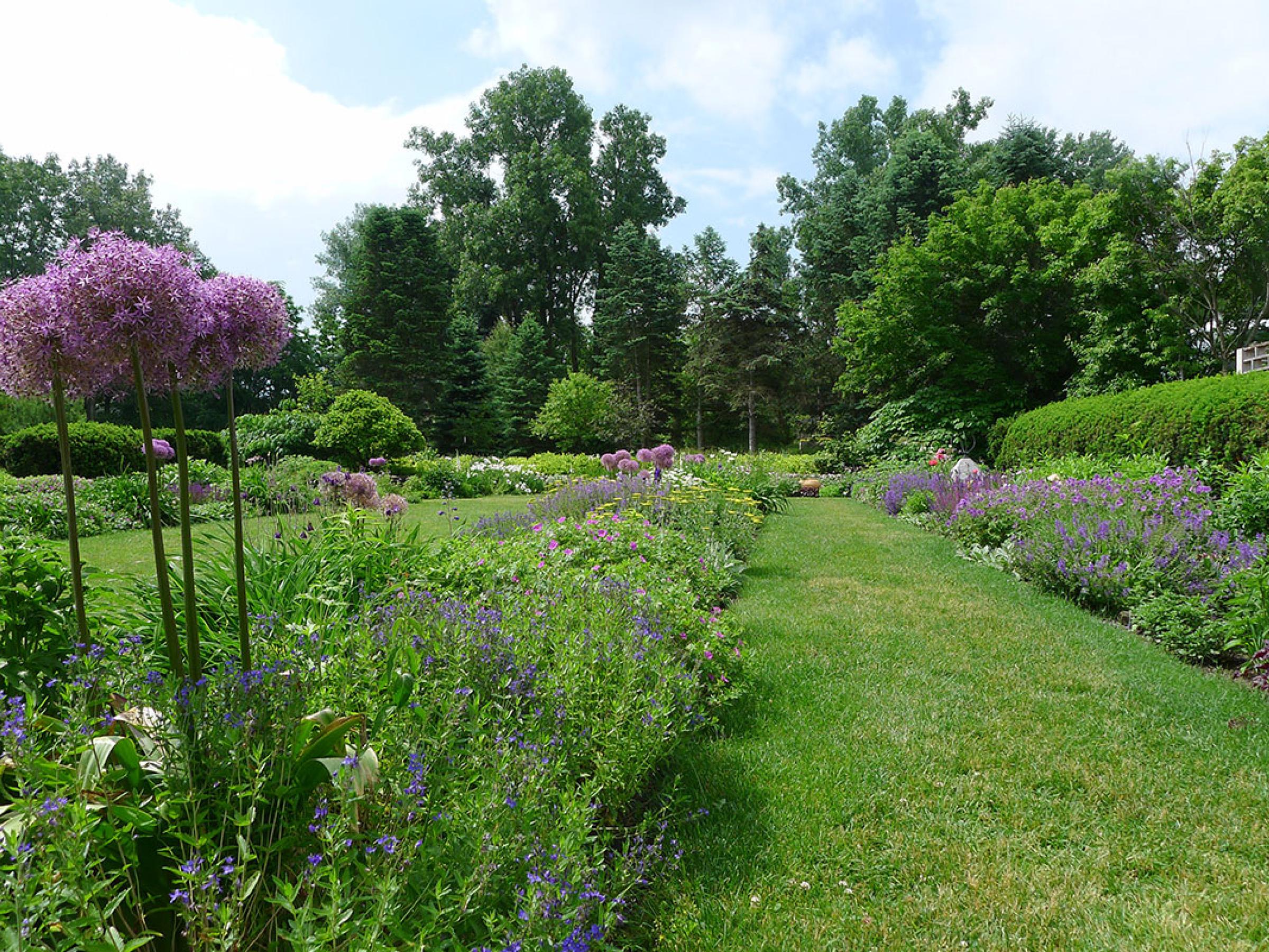 Perennial garden at Matthaei