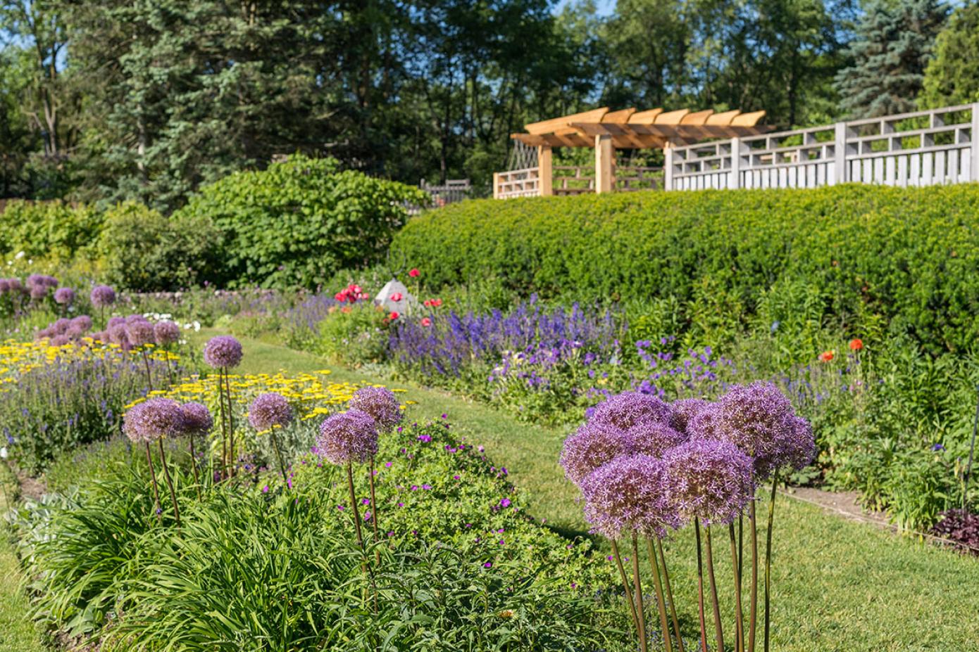 South view of the garden with flowers in foreground
