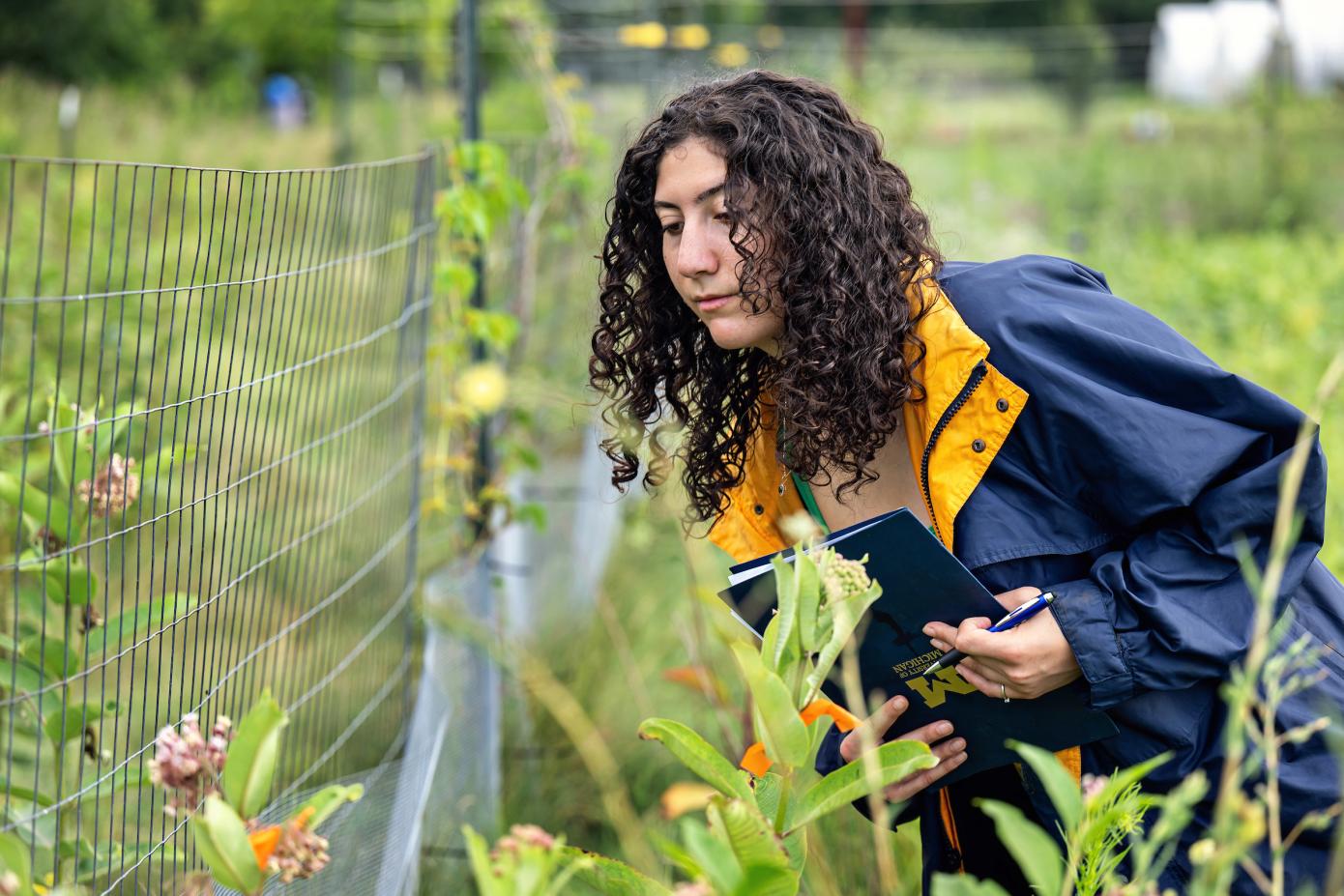 Woman studying wildflowers along a fence
