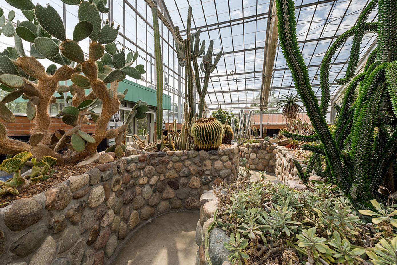 A view of the arid house