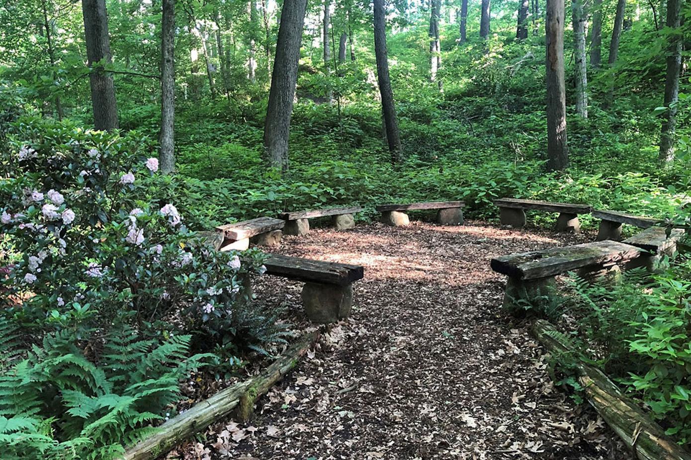 A circle of wooden benches in the forest