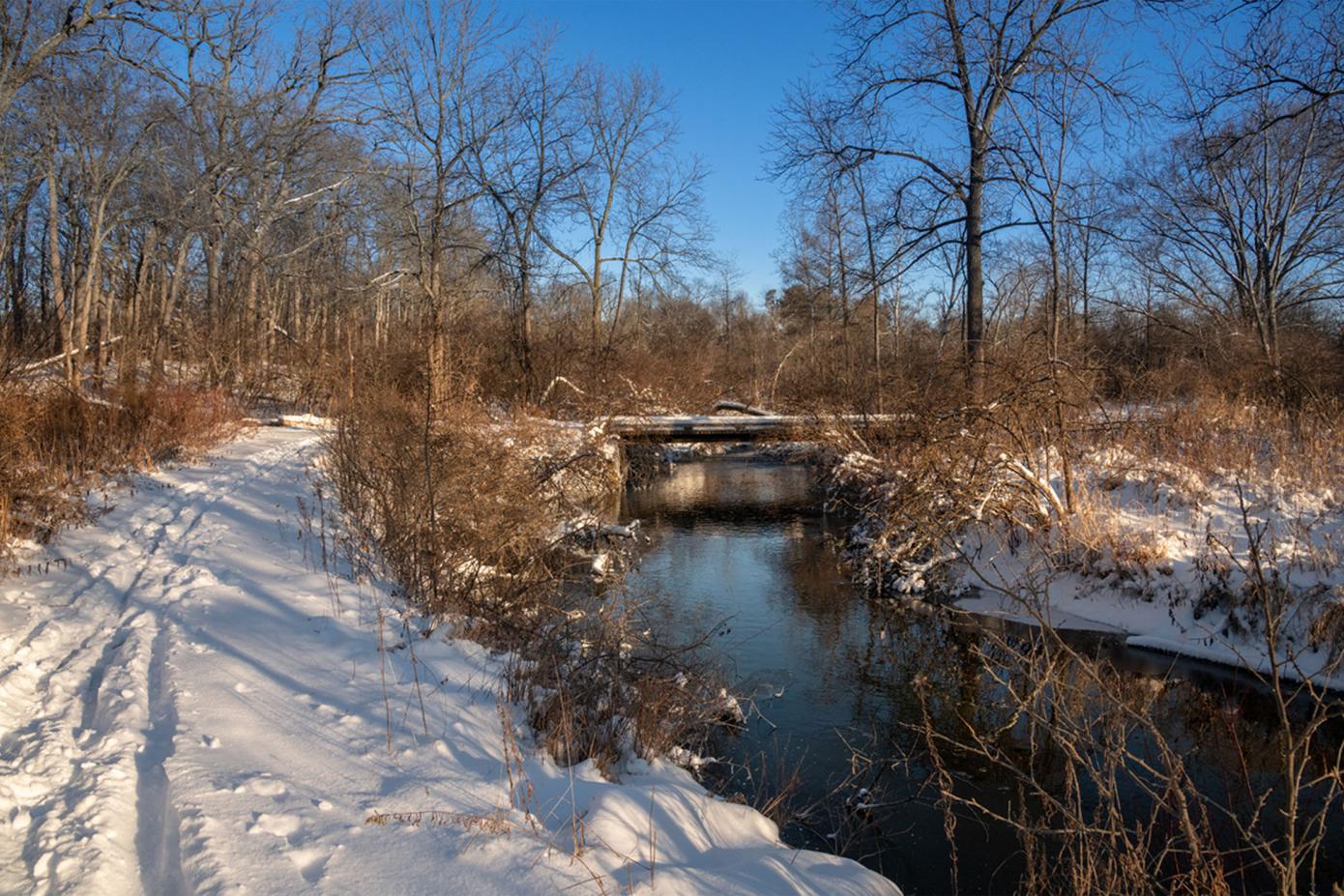 Fleming Creek in winter