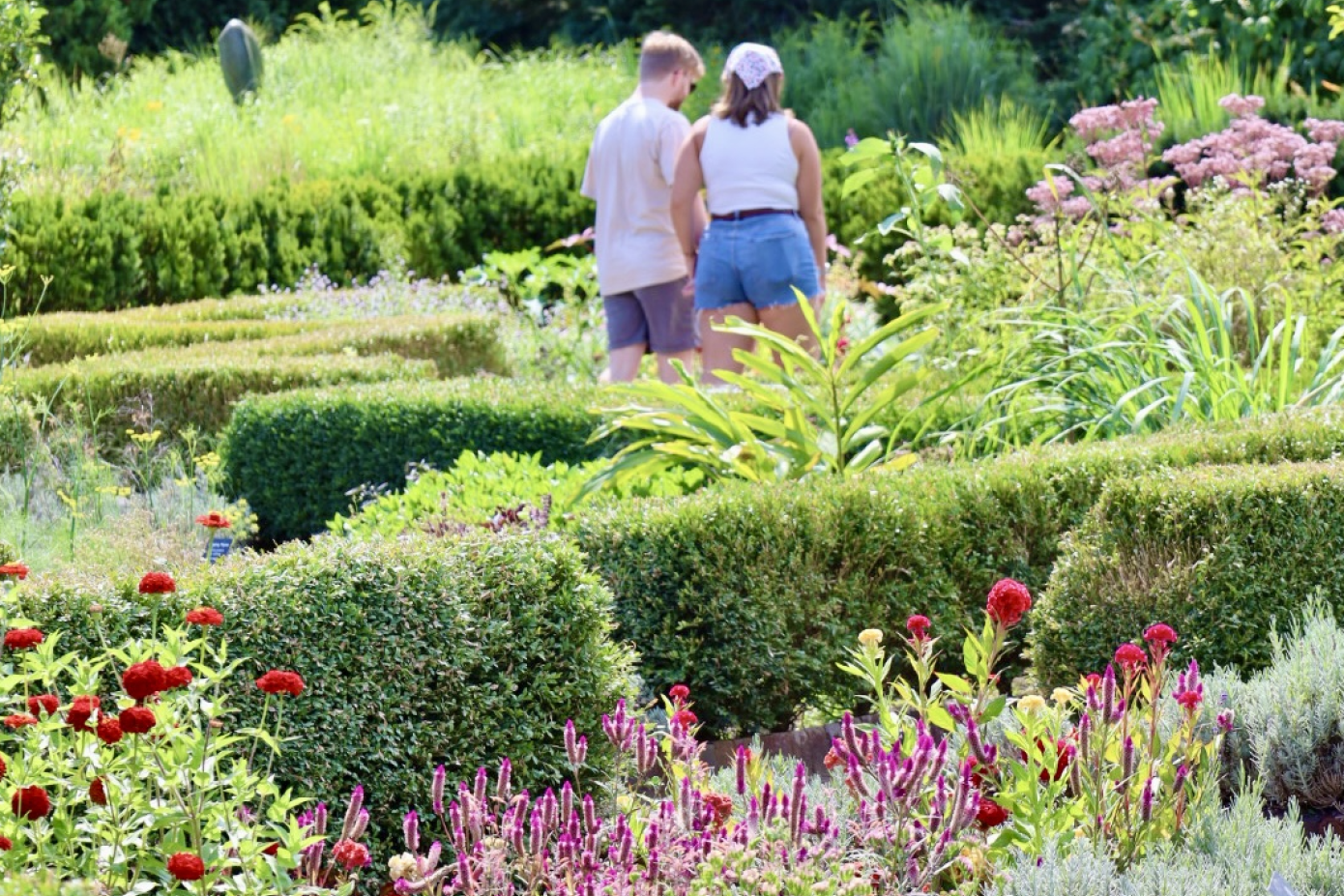Two people strolling in the Alexandra Hicks Herb Knot Garden