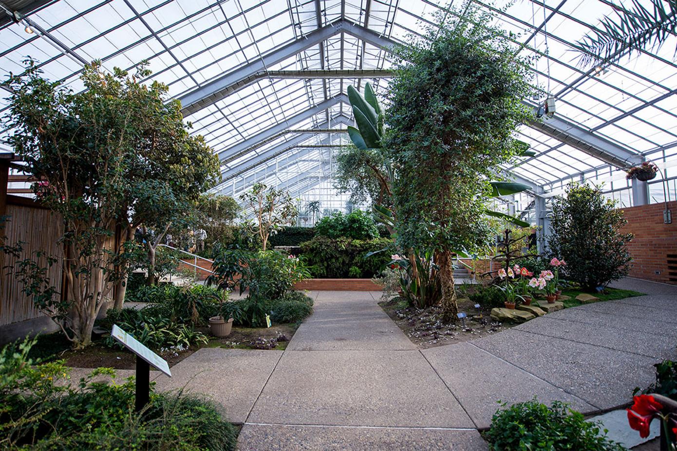 A view of the temperate house