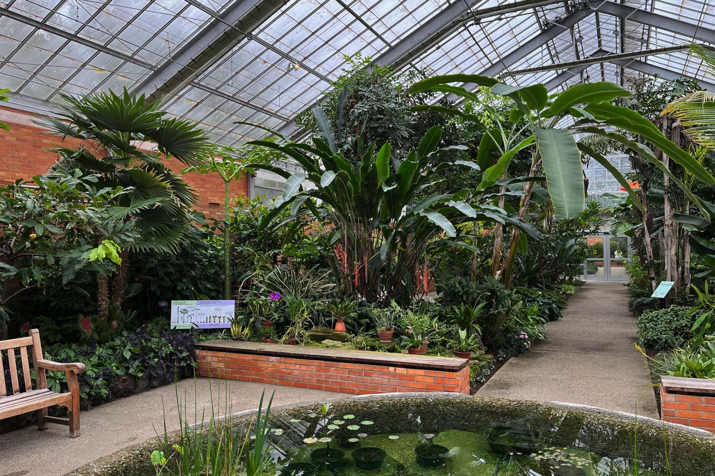 A view of the tropical house
