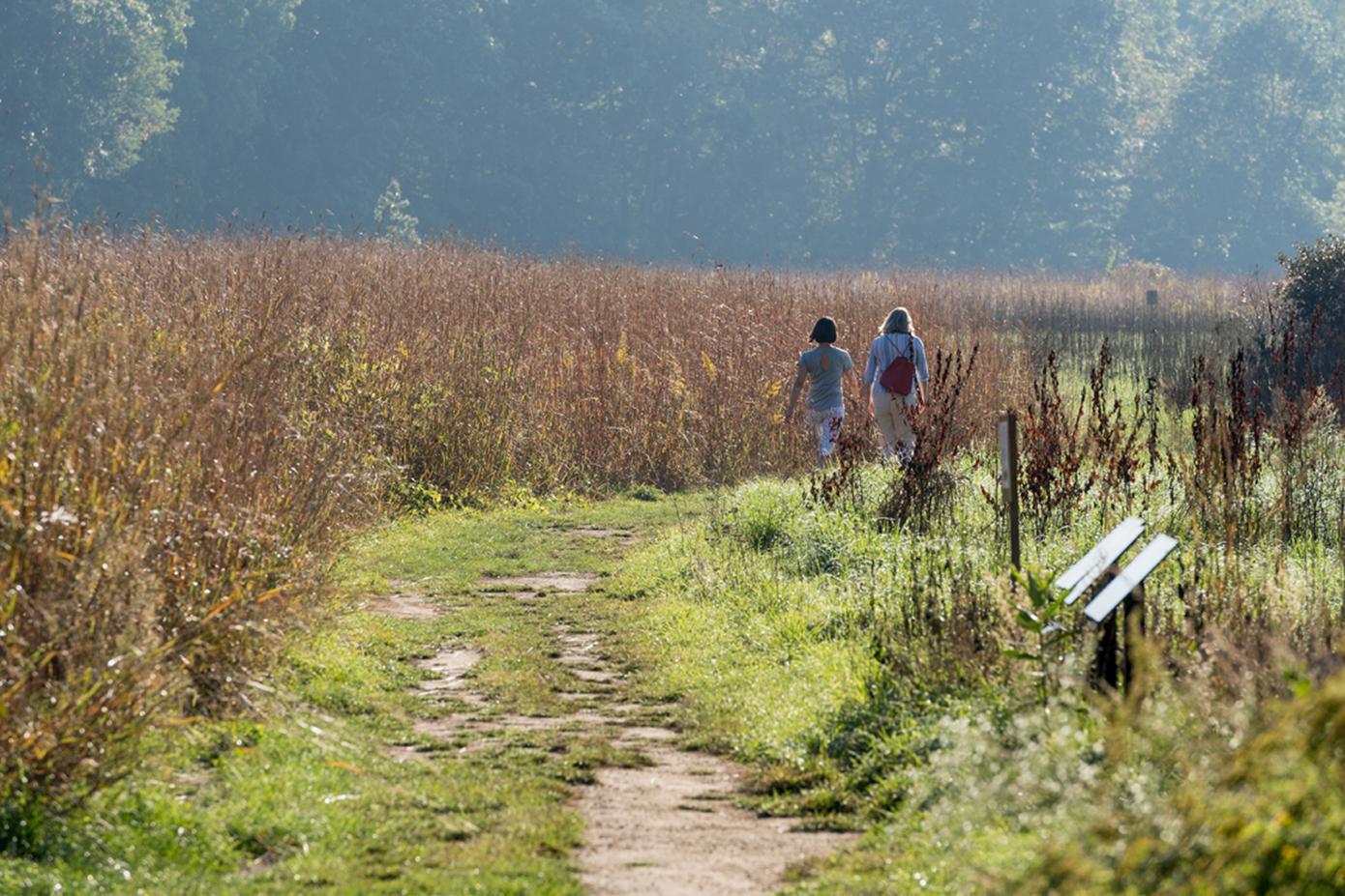 Two people walking down the trail