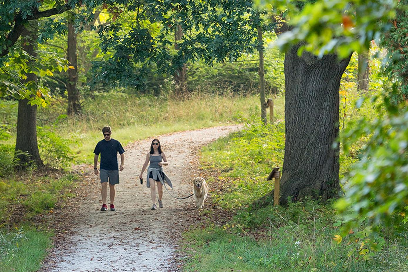 Two people and a dog walking through a trail at the arb