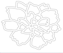 illustrated white double peony form