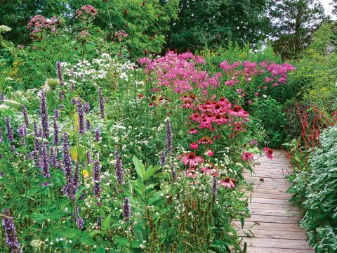 lush pollinator garden with wooden path