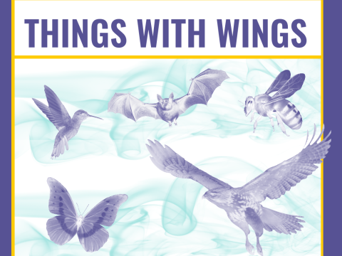 Things With Wings graphic with birds, bees, butterflies