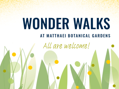 wonder walk graphic with grass and dots