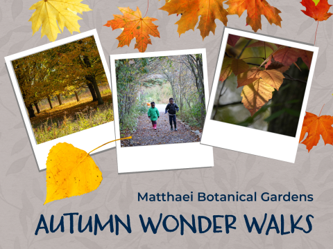 wonder walk graphic with three fall photos 