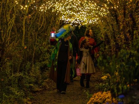 two people in tree tunnel covered in small lights, one hods a lantern in front.