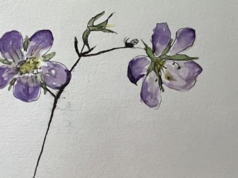 watercolor painting of two purple flowers