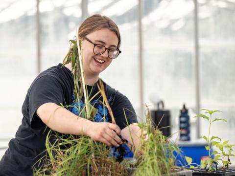 person smiles as they plant plants into small gray box