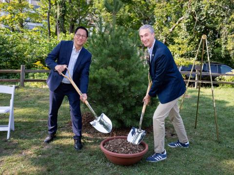 President Ono and Mayor Taylor use shovels to add last bit of mulch to a newly planted white pine tree