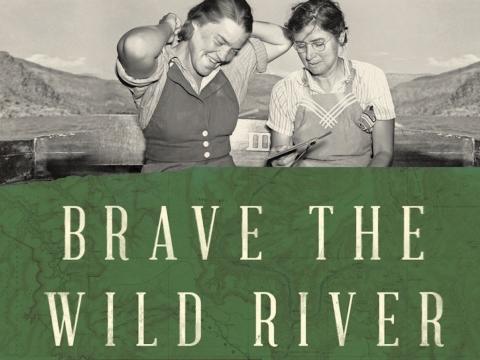 cropped image of Brave the wild river book