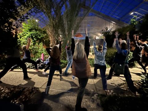 people doing a yoga pose in the conservatory at night