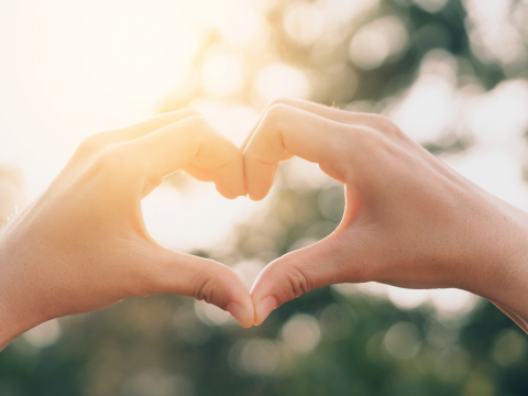 A pair of hands making a heart shape, nature scene behind that