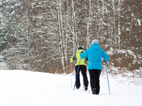 two people cross country skiing, line of trees ahed of them