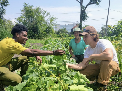 three people in a garden field and one hands another a vegetable