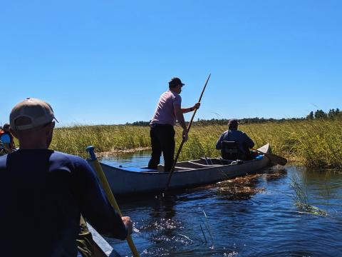 Canoes on water in Wild Rice area
