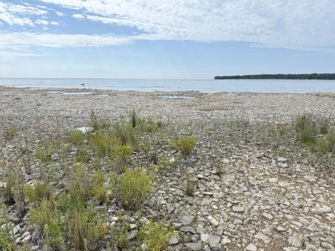 Cobble Beach landscape in Michigan