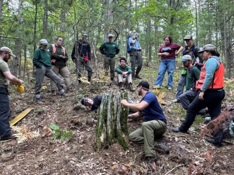 Group of people in woods outside near a stump