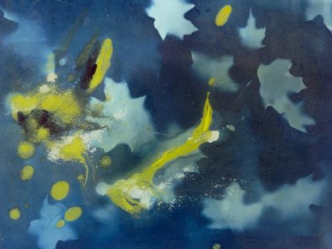 Leslie Sobel art 
