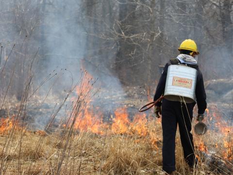 person managing a prescribed burn