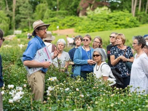 People listening to someone talk about peonies while in the peony garden