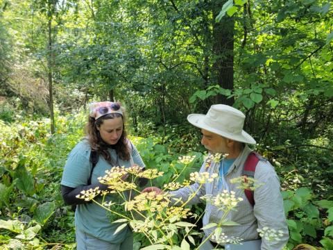 Mike Kost and student look at plants outside