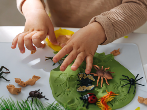 child hands playing with clay and plastic insects