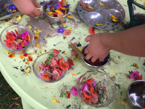 small child hands making a potion from nature materials