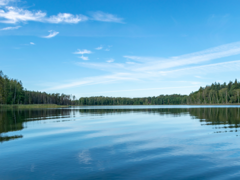 lake with trees in background and blue sky above