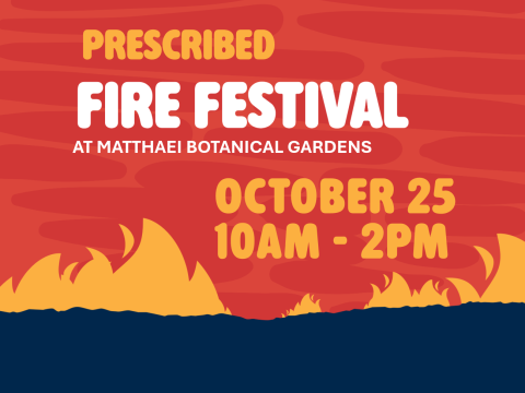fire festival graphic with flames and text