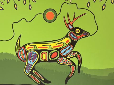 Jack Johnson artwork with a deer on green background