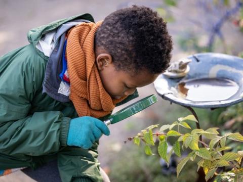 A child leans over with a hand held magnifying glass looking at a plant 