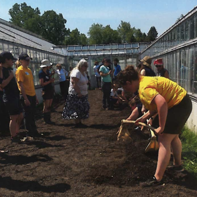 people working in a garden