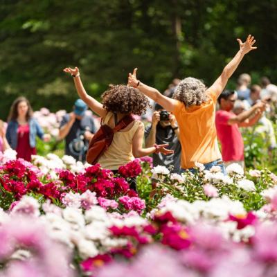 the backs of two people in peony garden with arms outstretched 